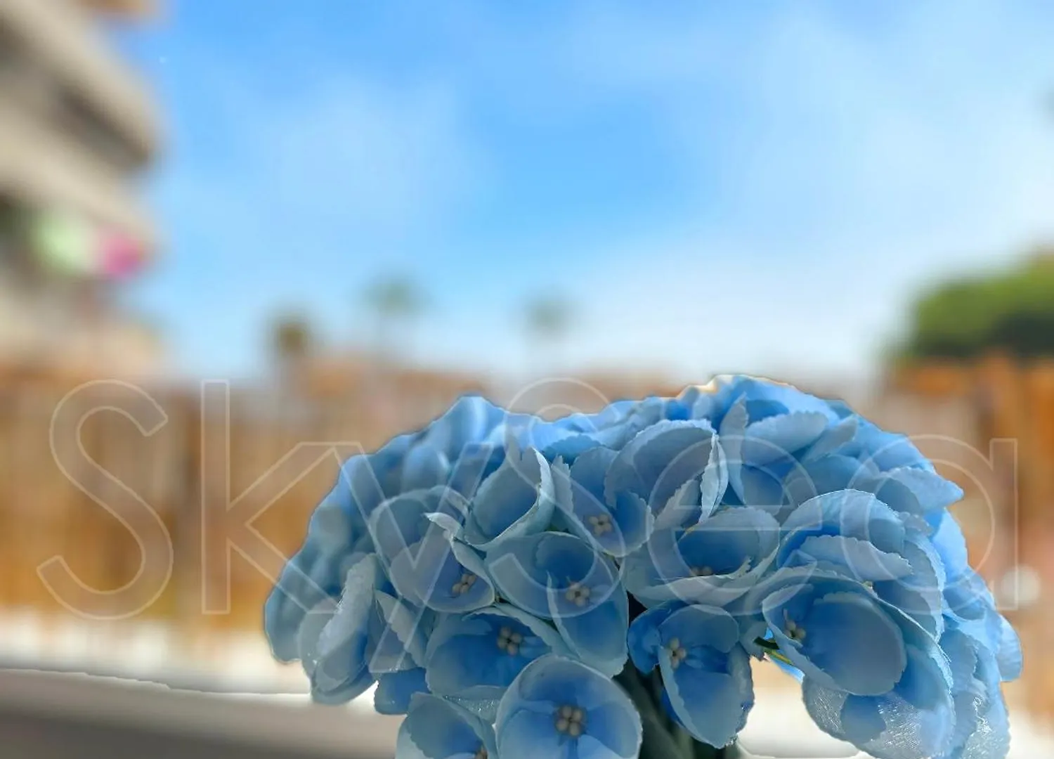 Apartamento Skysea Benalmadena Puerto Marina España